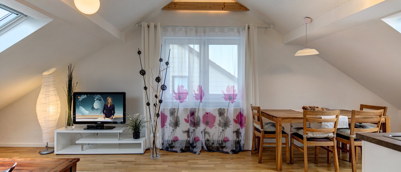 appartement sous les toits Eching 04 salon 10655