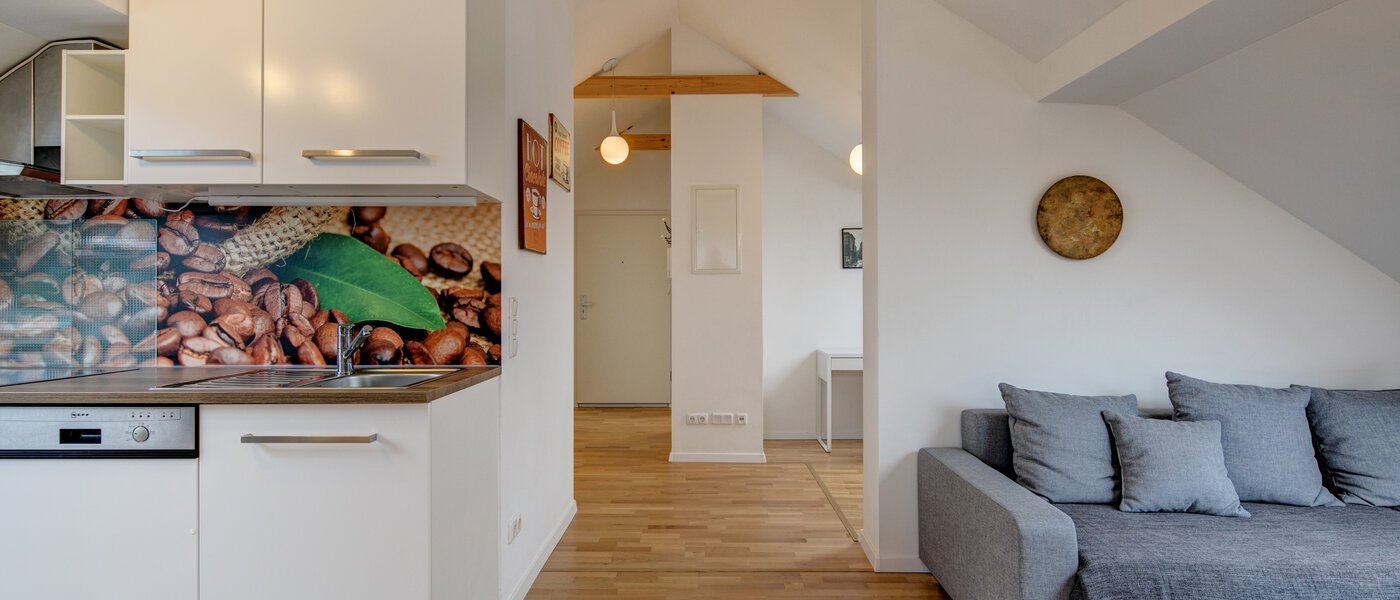 appartement sous les toits Eching 05 salon 10655