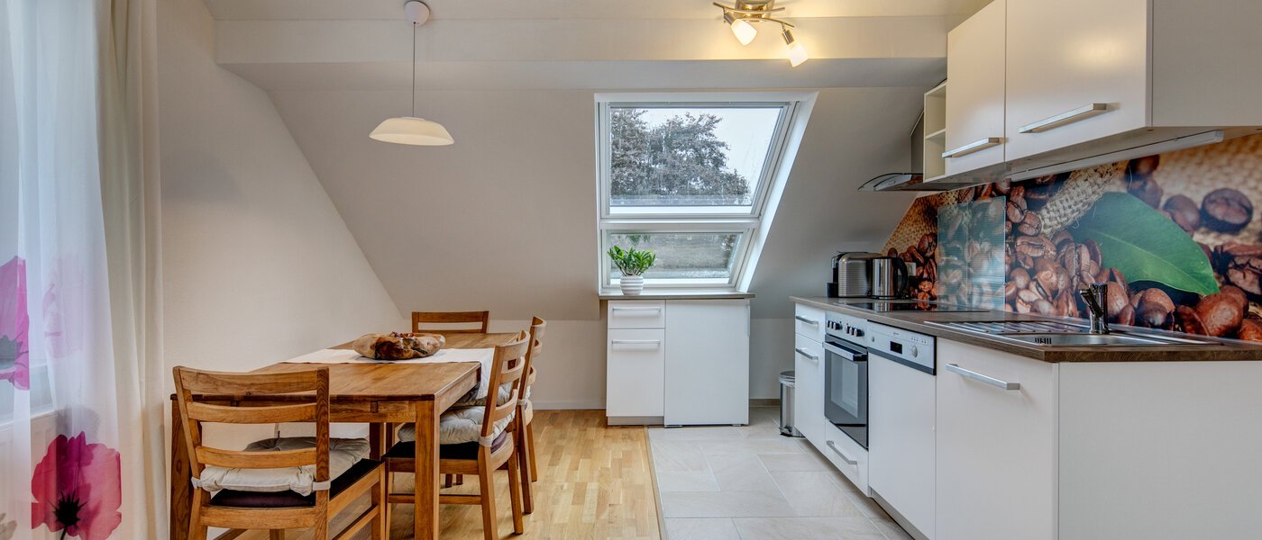 appartement sous les toits Eching 01 cuisine 10655