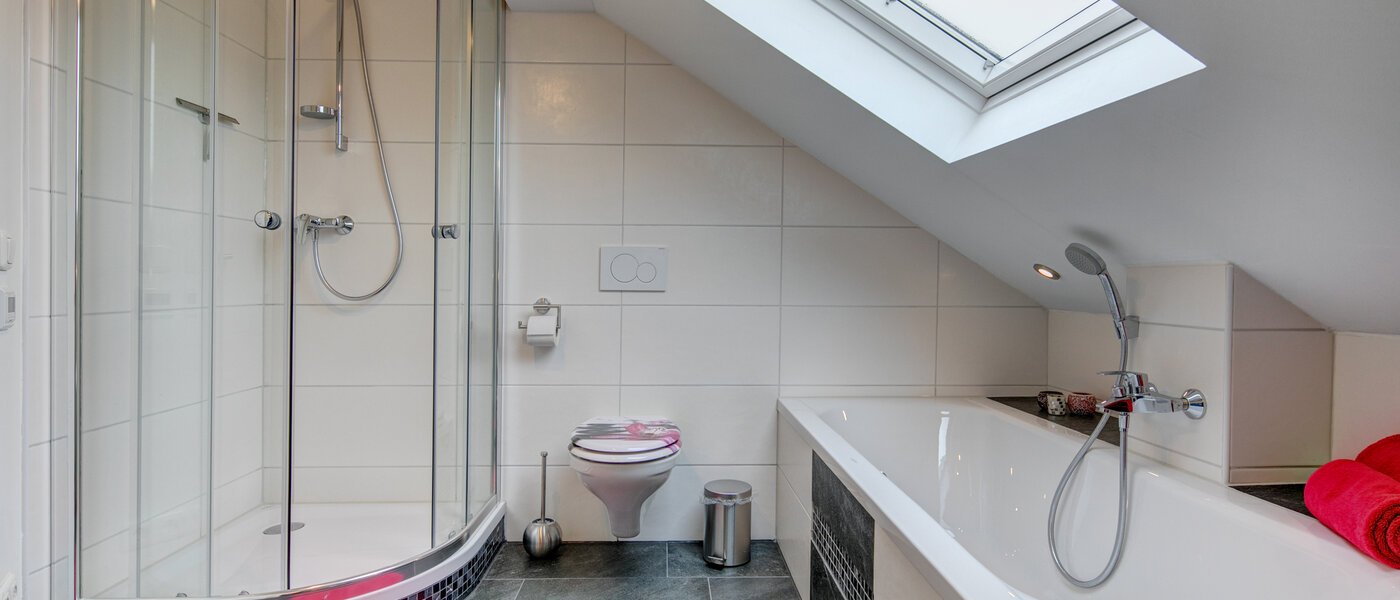 appartement sous les toits Eching 01 salle de bain 10655