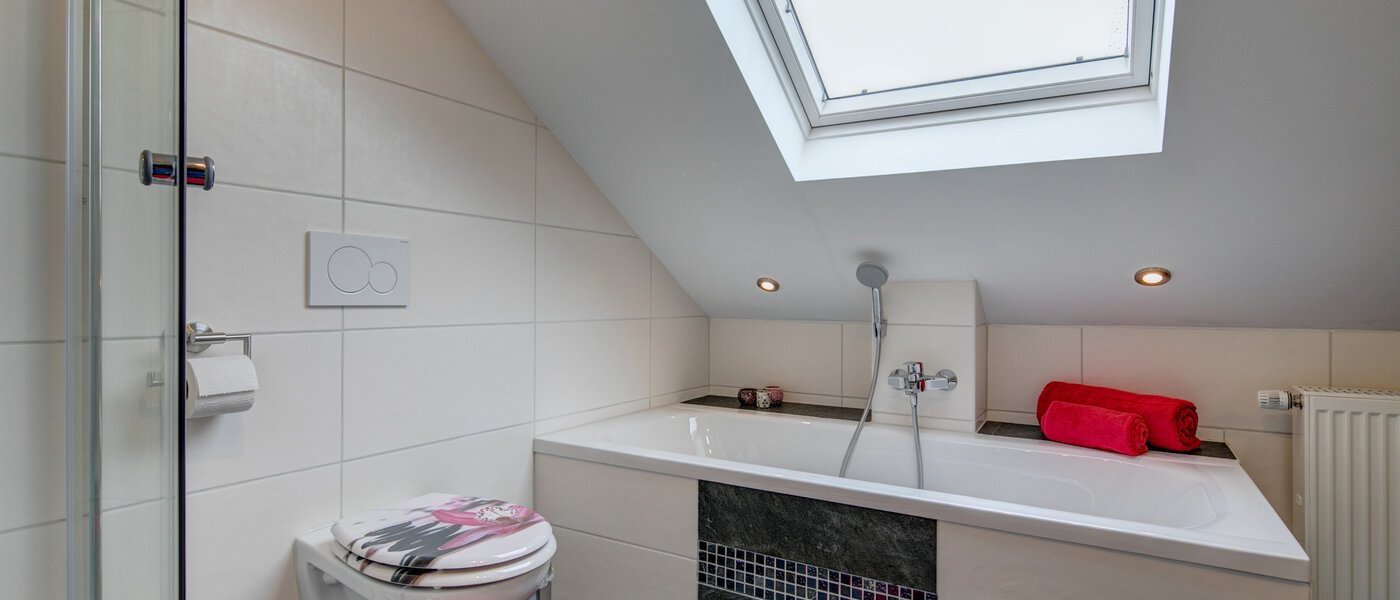 appartement sous les toits Eching 02 salle de bain 10655