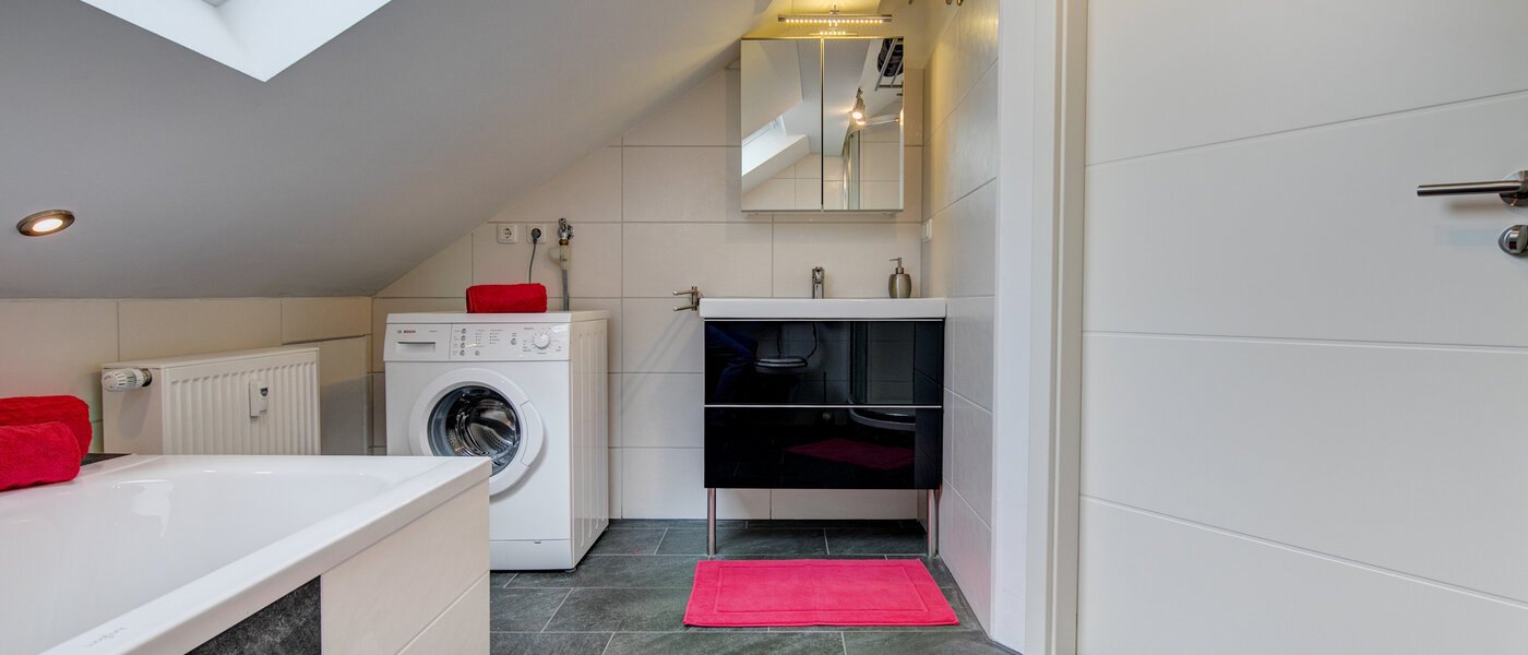 appartement sous les toits Eching 03 salle de bain 10655