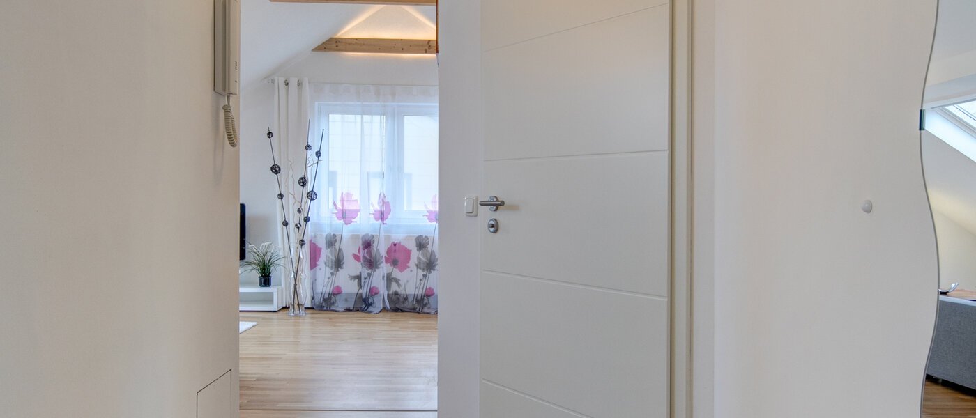 appartement sous les toits Eching 01 entrée/couloir 10655