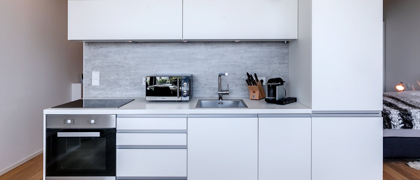 appartement München Nymphenburg 06 salon 10688