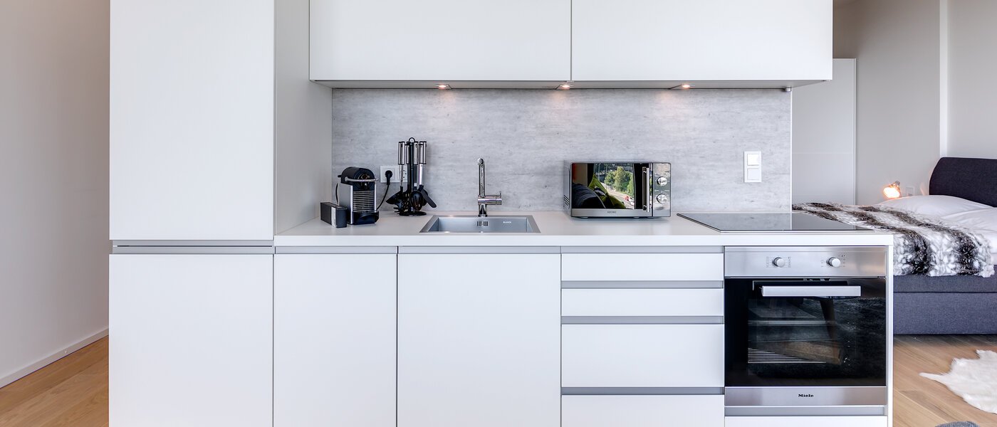 appartement München Nymphenburg 04 salon 10689