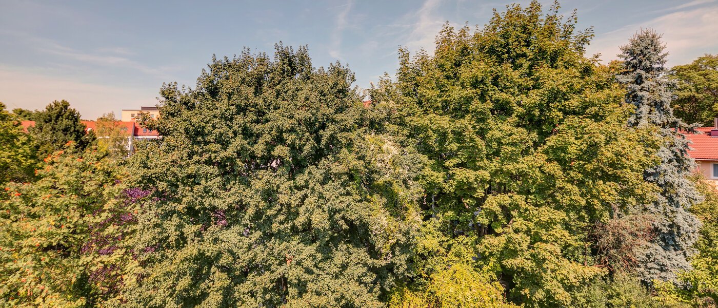 studio München Ramersdorf 02 vue 10733