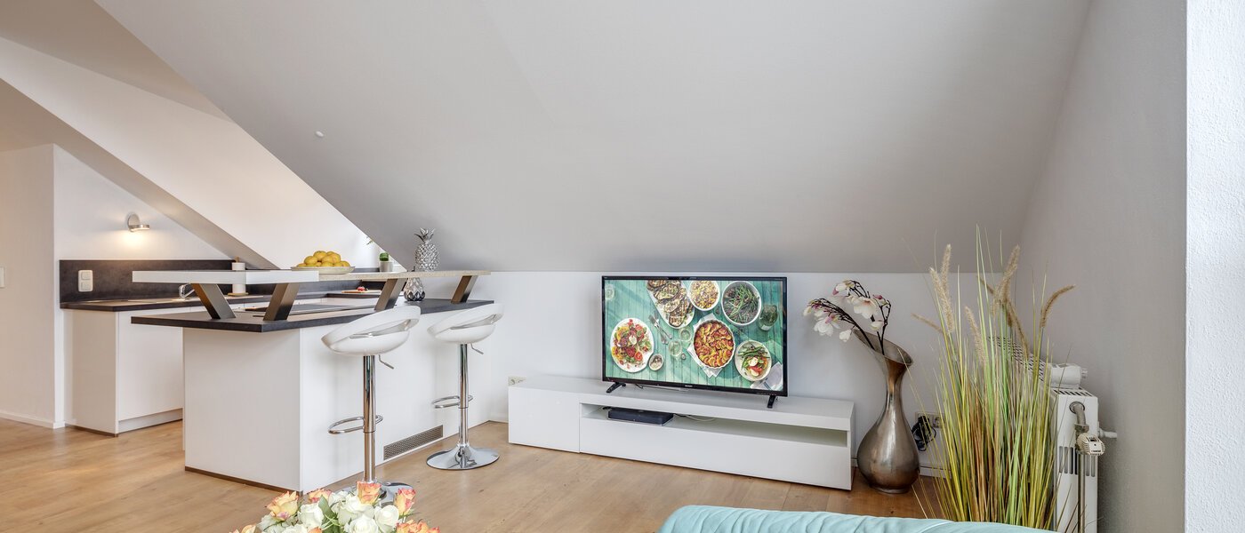 appartement sous les toits München Denning 03 salon 10809