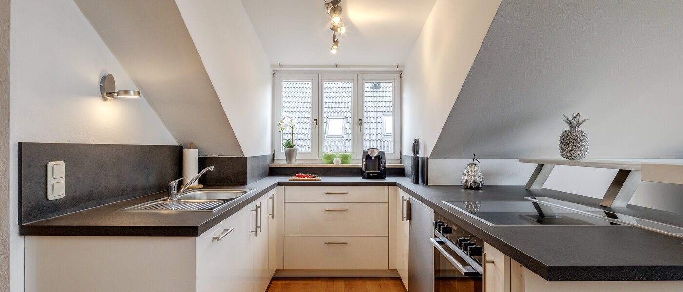 appartement sous les toits München Denning 01 cuisine 10809