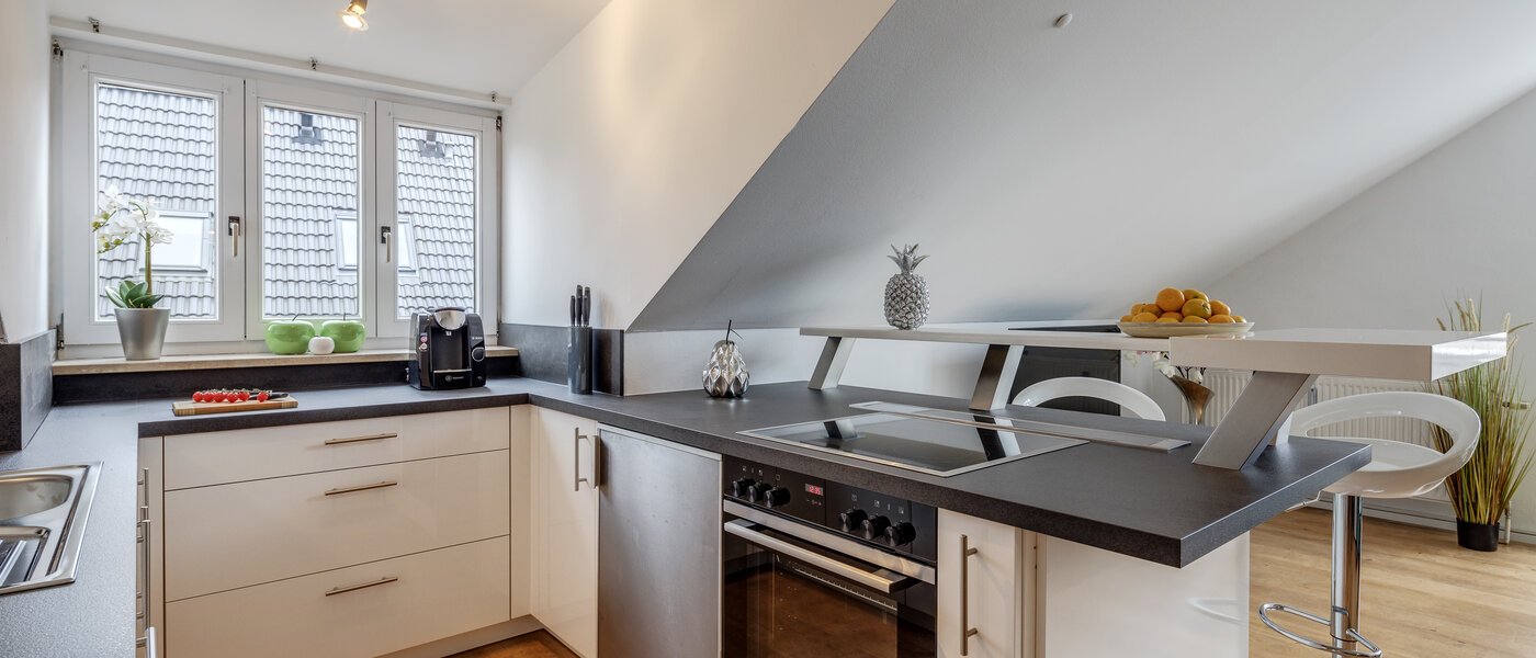 appartement sous les toits München Denning 02 cuisine 10809