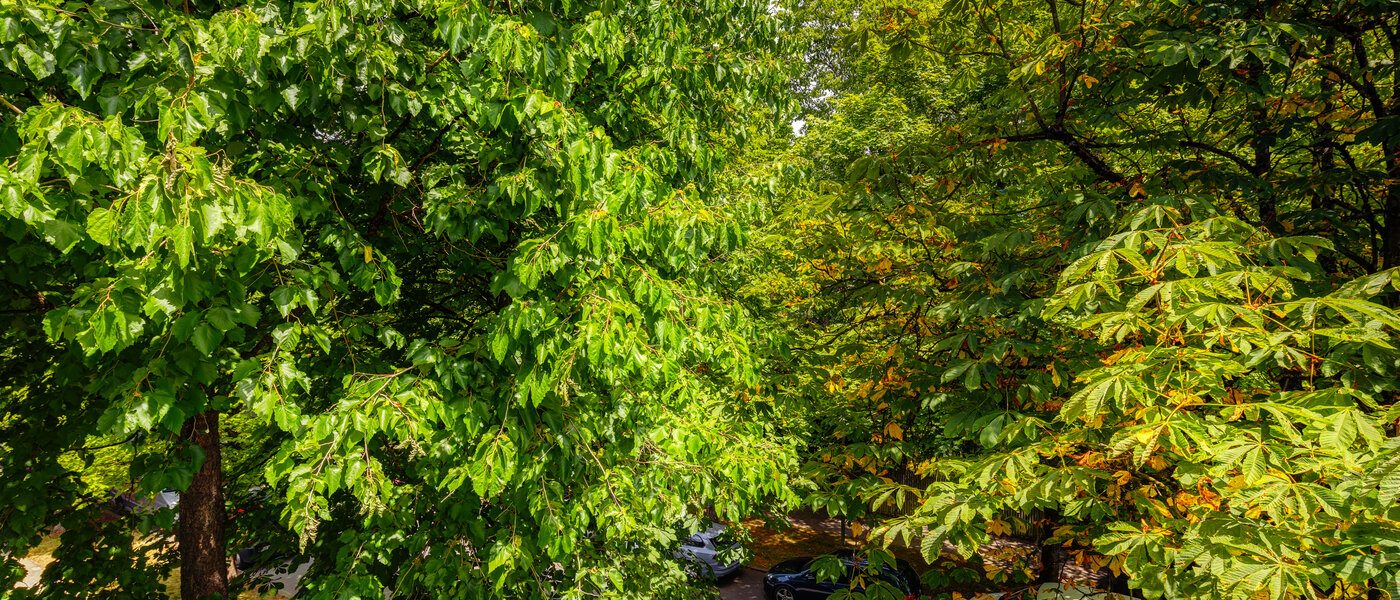 appartement München Nymphenburg 02 vue 10849