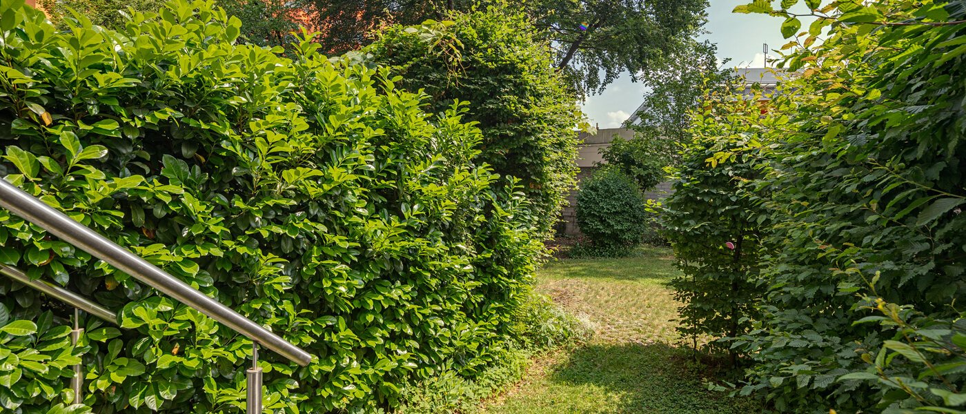 appartement München Haidhausen 01 vue 10914