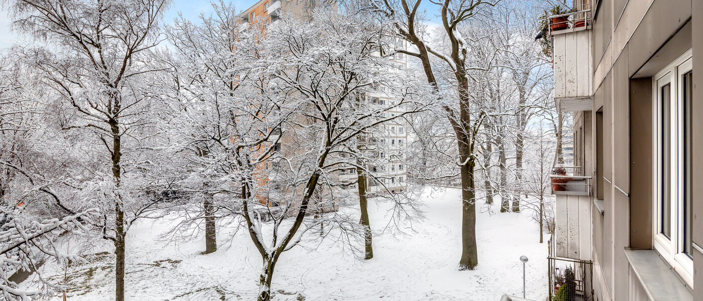 studio München Parkstadt Bogenhausen 01 vue 10938