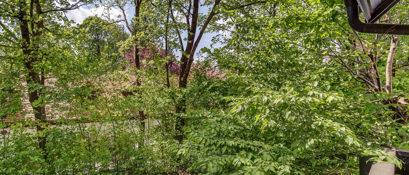 appartement style maisonnette München Oberföhring 04 vue 10997