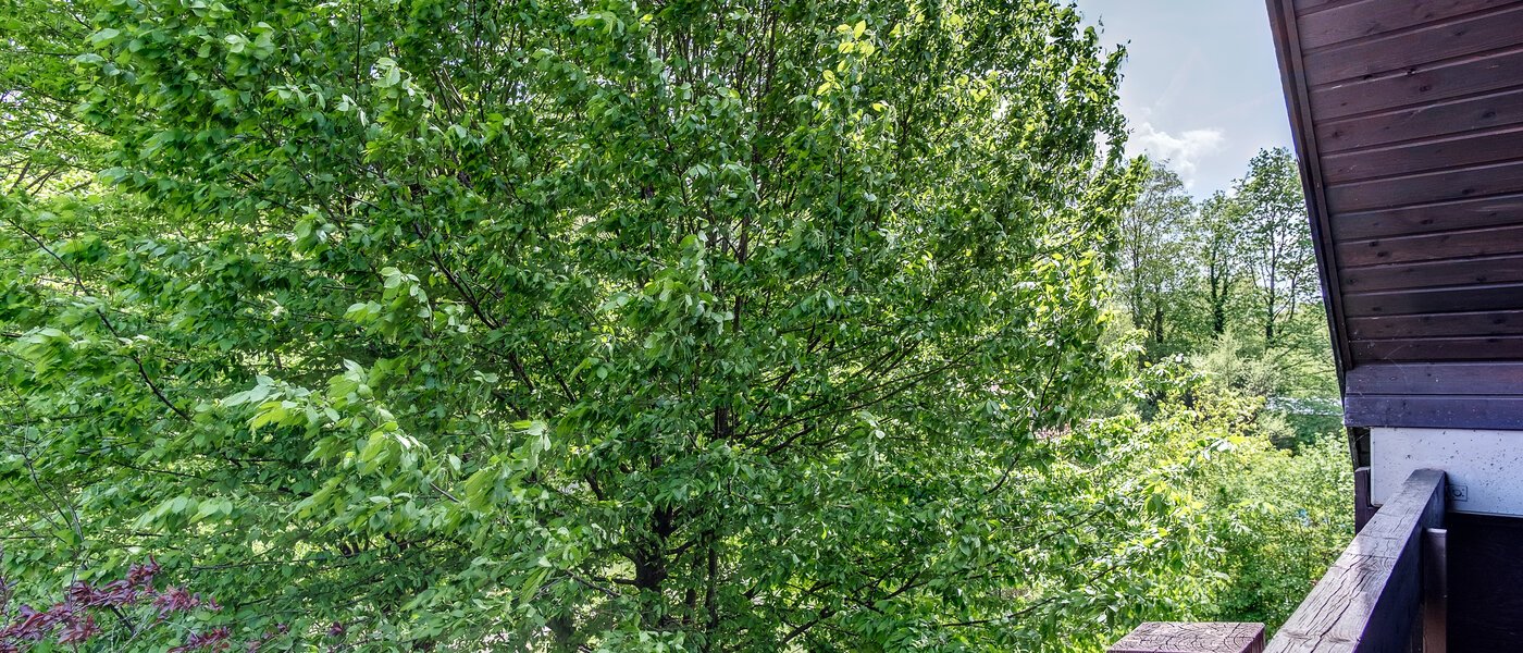 appartement style maisonnette München Oberföhring 05 vue 10997