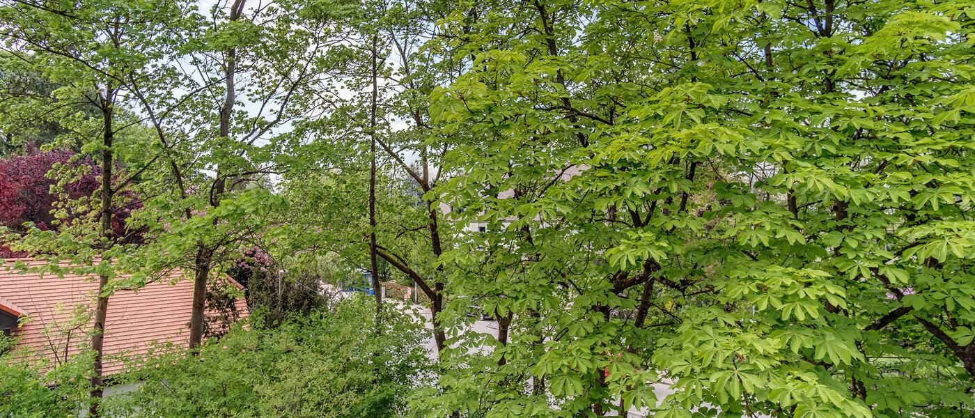 appartement style maisonnette München Oberföhring 07 vue 10997