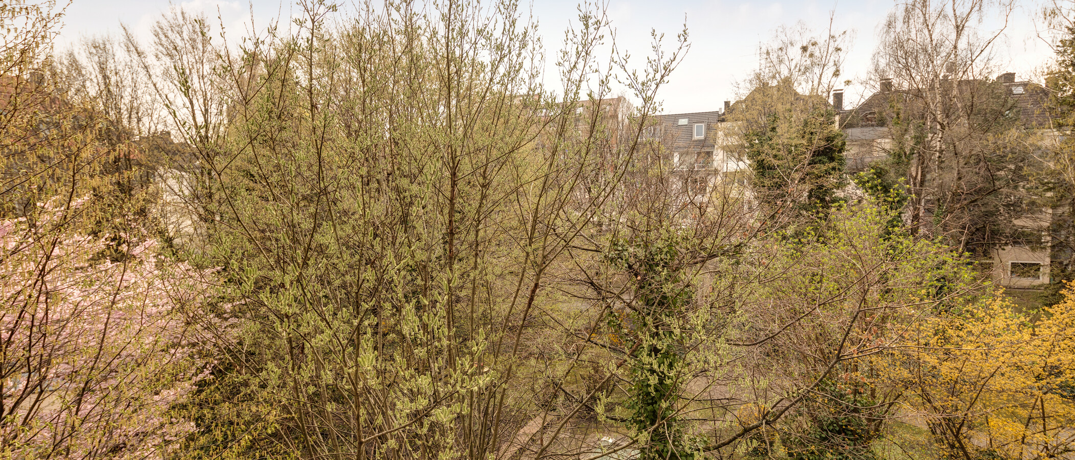 appartement style maisonnette München Schwabing-West (rund um den Hohenzollernplatz) 02 vue 11000