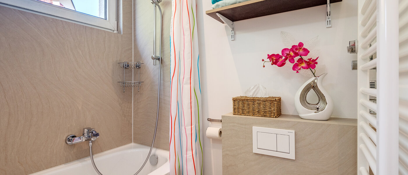 appartement München Neuhausen 02 salle de bain 11009