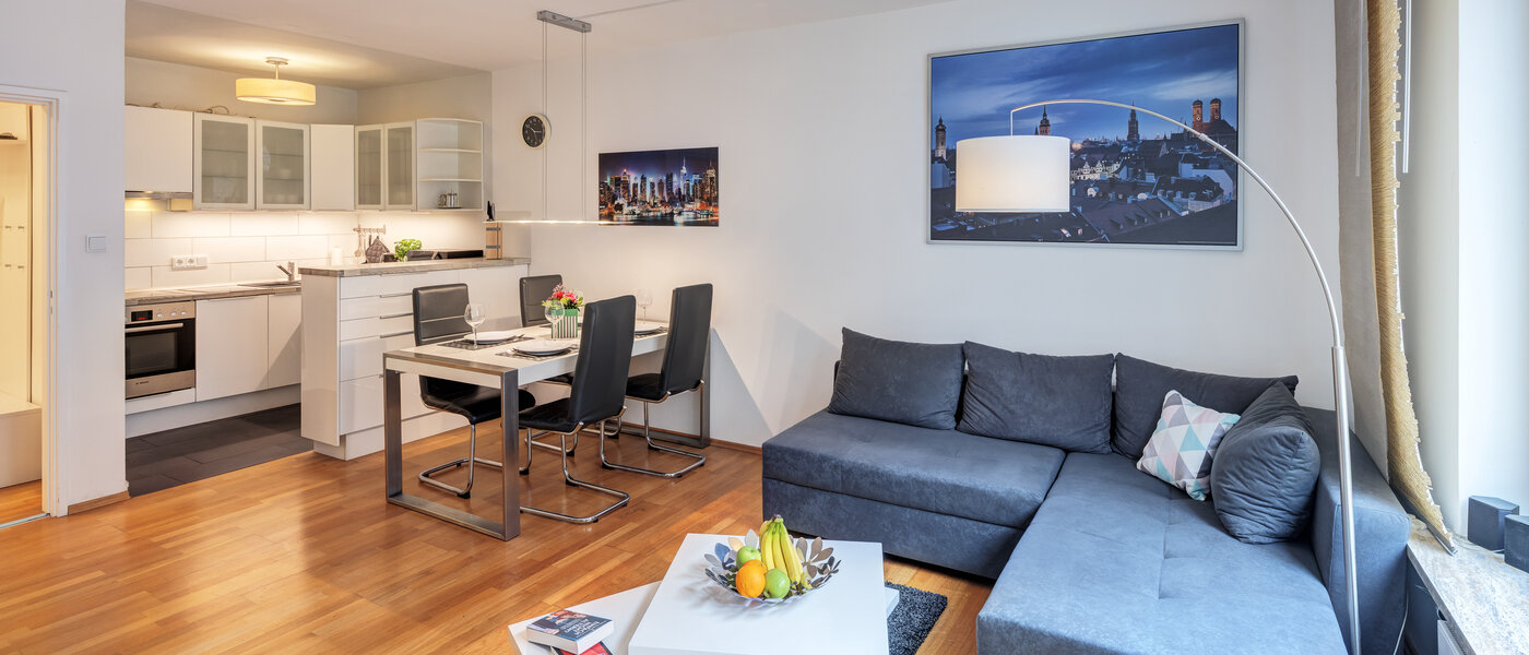 appartement München Haidhausen 01 pièce à vivre 11036