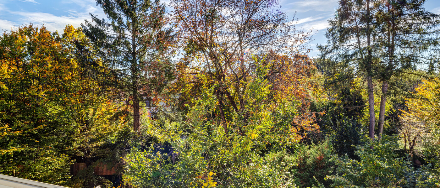 appartement München Nymphenburg 01 vue 11055