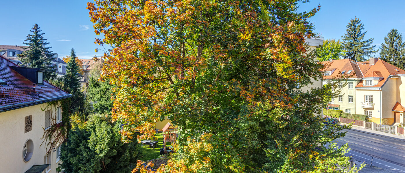 appartement München Nymphenburg 03 vue 11055