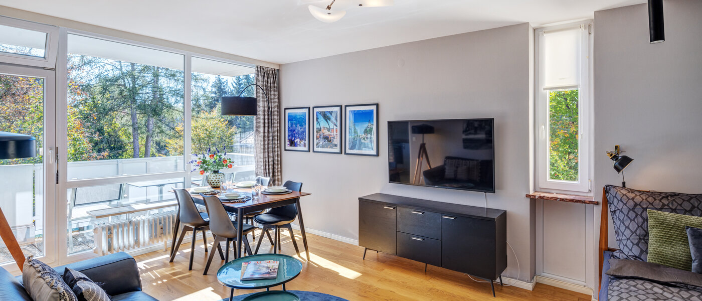 appartement München Nymphenburg 02 pièce à vivre 11055