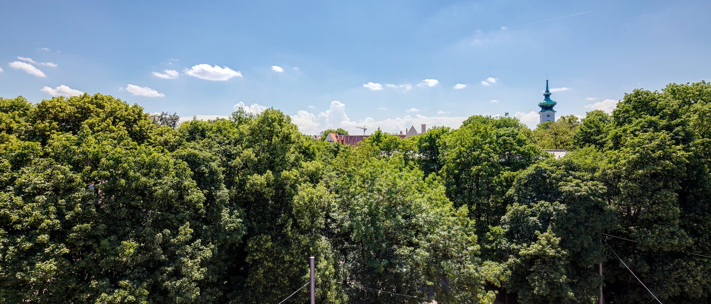 appartement avec terrasse sur le toit München Bogenhausen 01 vue 11076