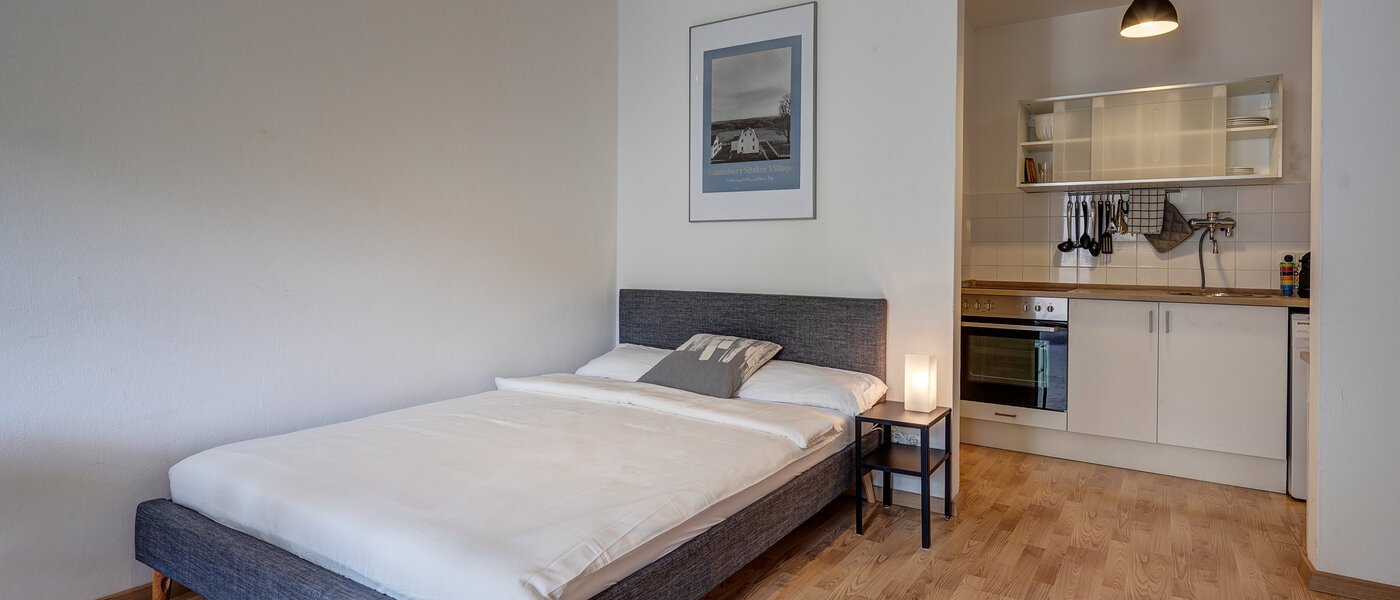 appartement München Maxvorstadt - Rund um den Josephplatz 01 chambres 11083