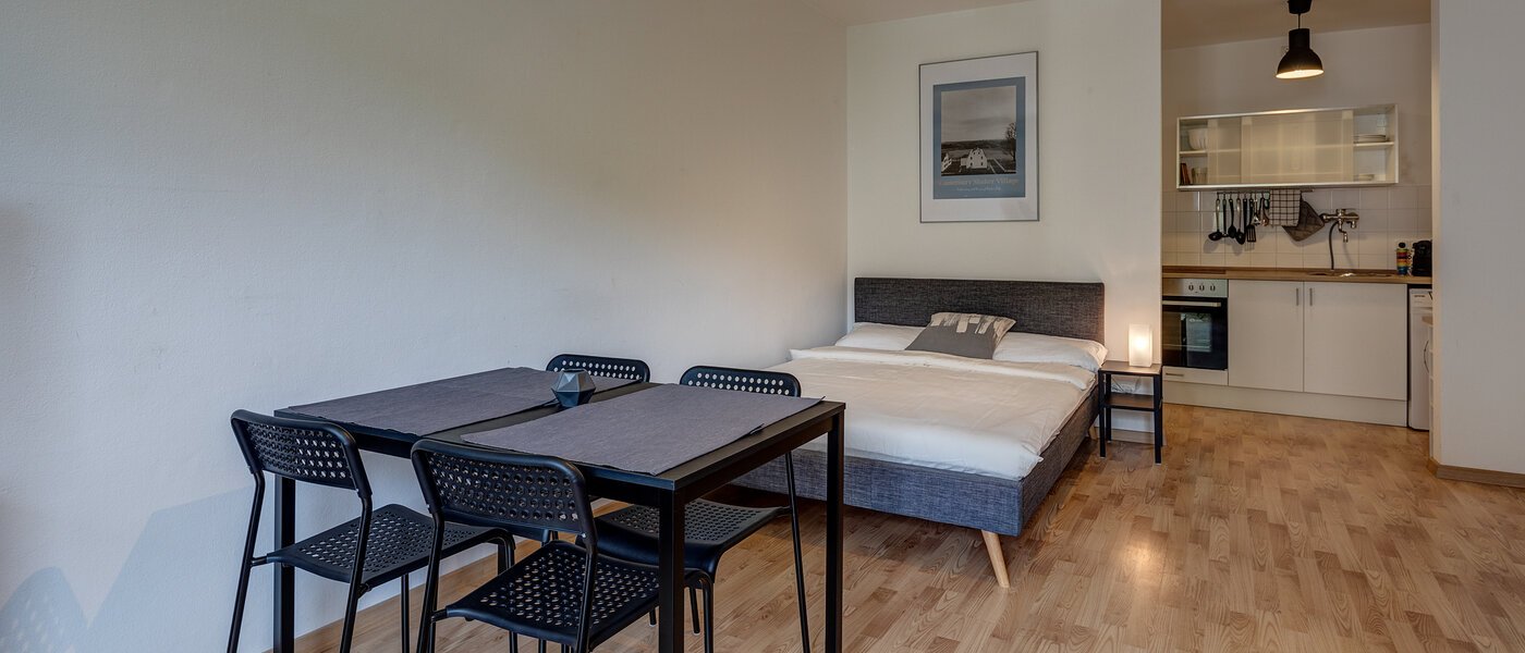 appartement München Maxvorstadt - Rund um den Josephplatz 04 pièce à vivre 11083