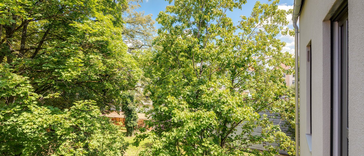 appartement München Pasing 03 vue 11135