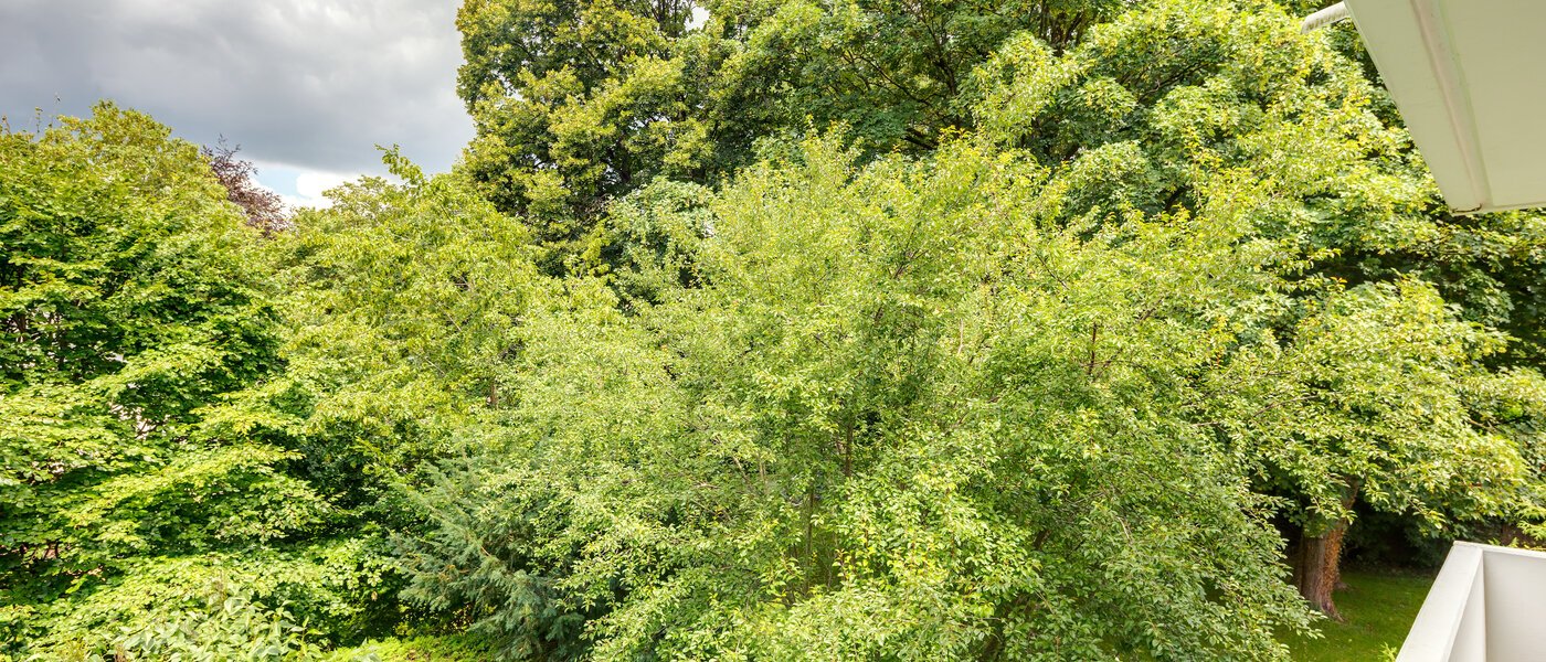 appartement München Herzogpark 04 vue 11149