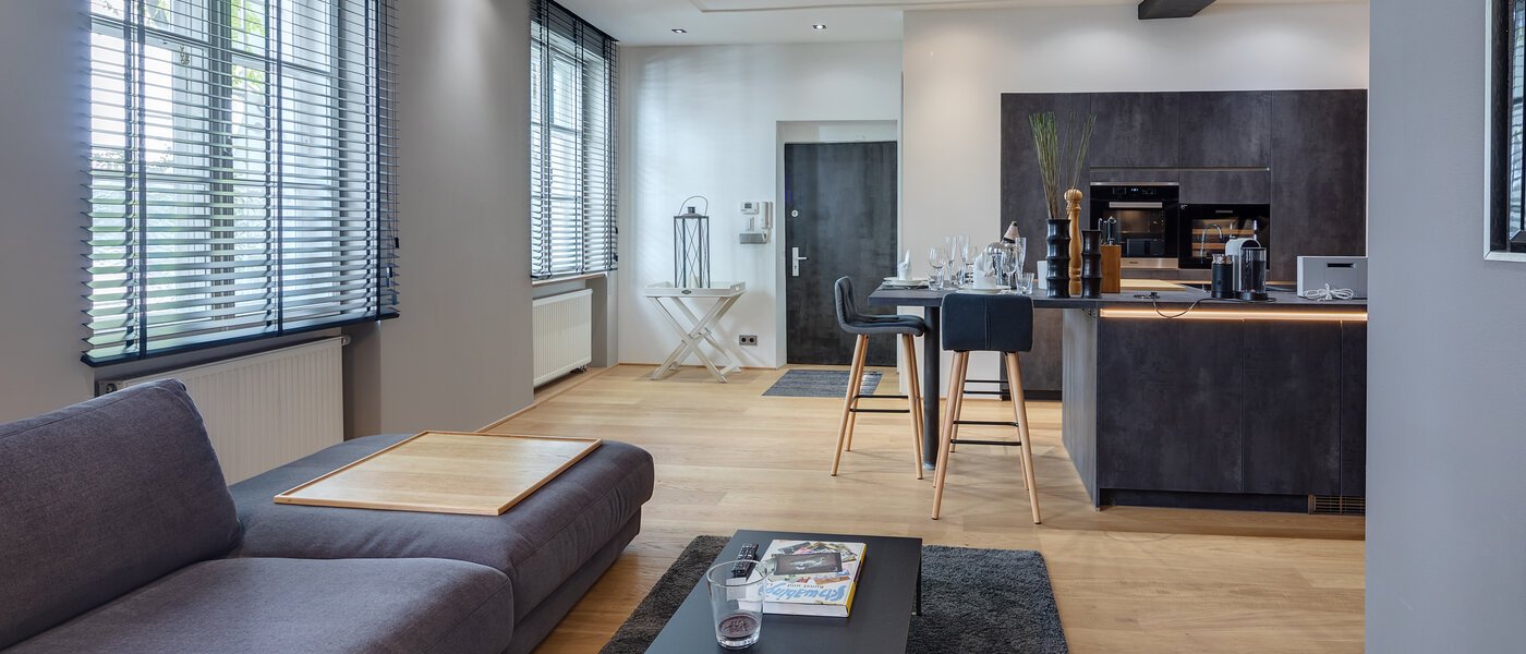 appartement München Gärtnerplatzviertel 04 pièce à vivre 11186