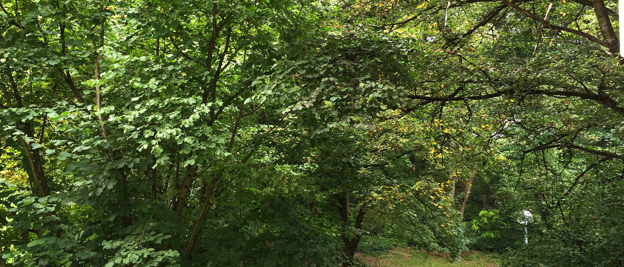 studio München Schwabing-West 01 vue 11238