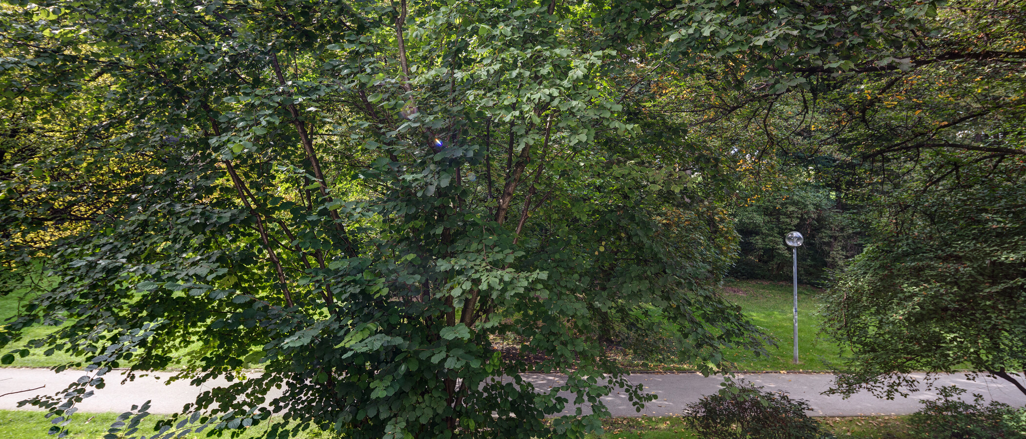 studio München Schwabing-West 03 vue 11238