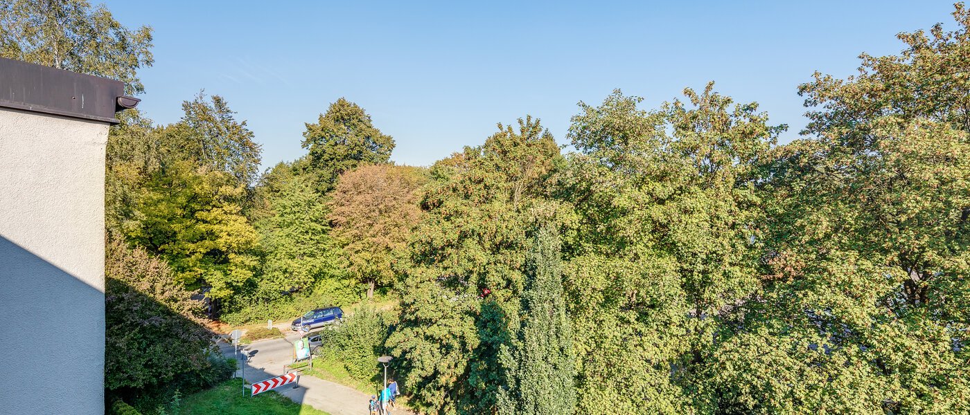 appartement München Parkstadt Bogenhausen 02 vue 11256