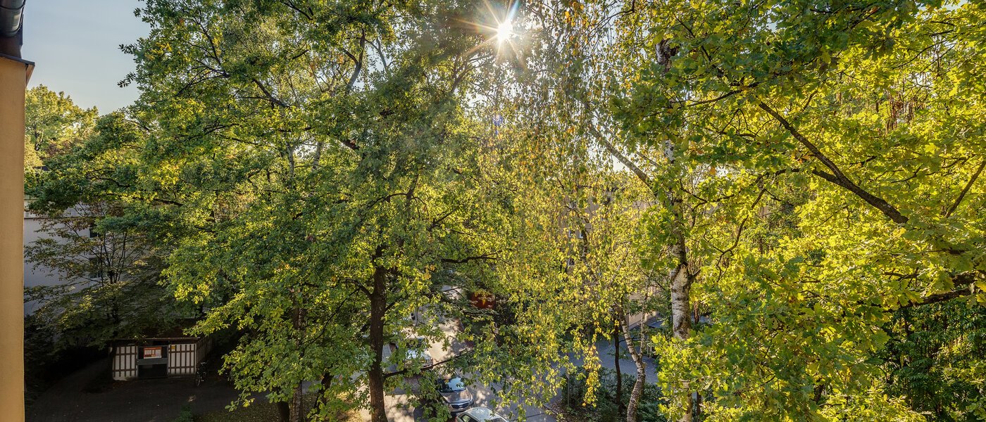 appartement München Parkstadt Bogenhausen 03 vue 11256