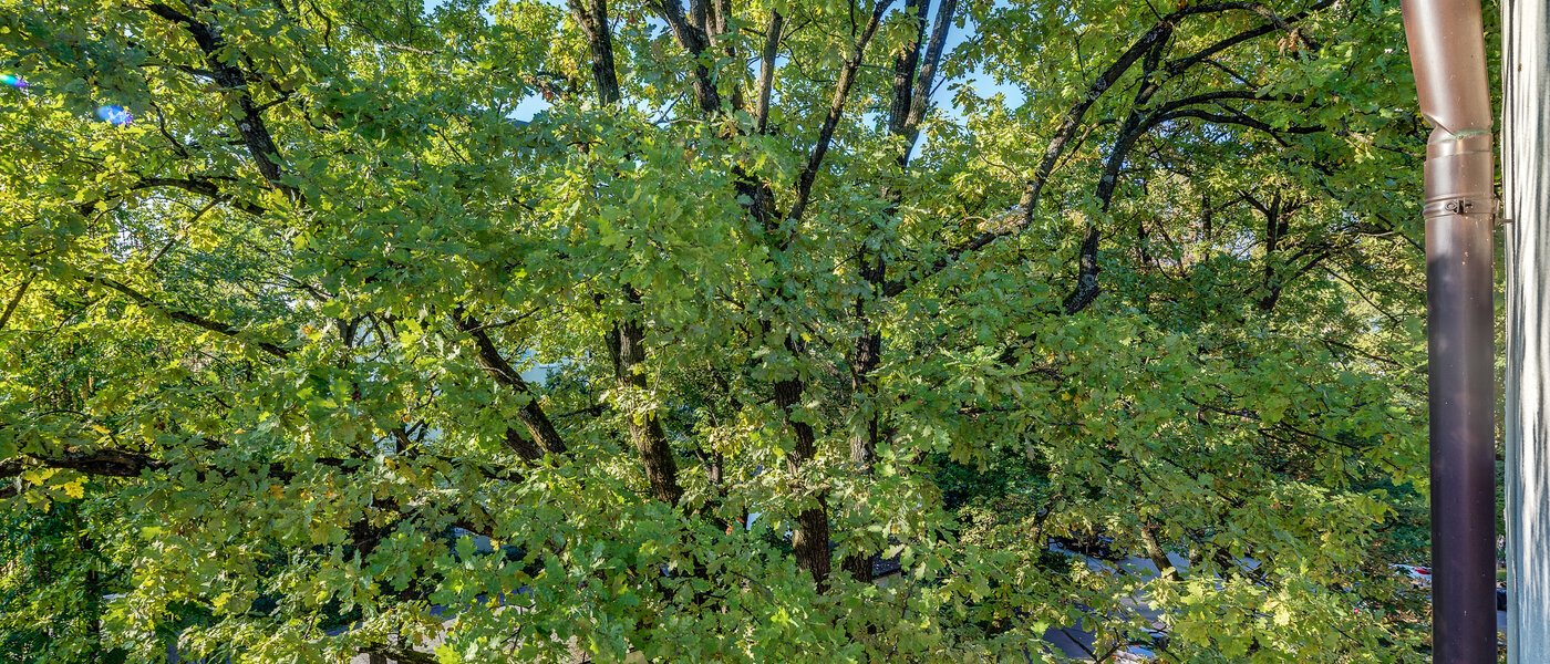 appartement München Parkstadt Bogenhausen 05 vue 11256