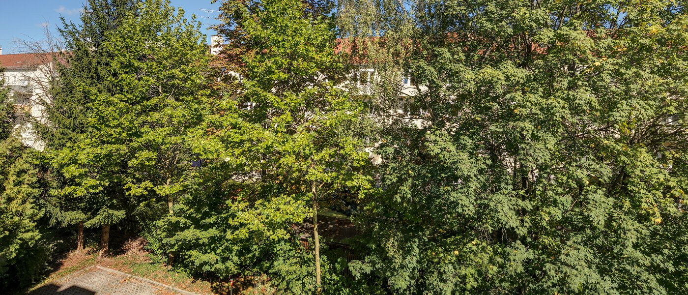 appartement München Obergiesing 01 vue 11258