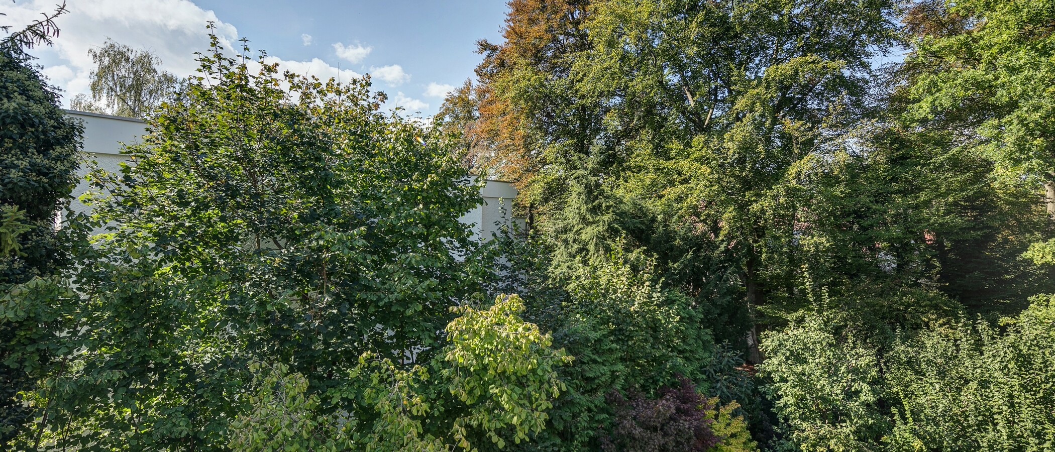 appartement avec terrasse sur le toit München Menterschwaige 01 vue 11267