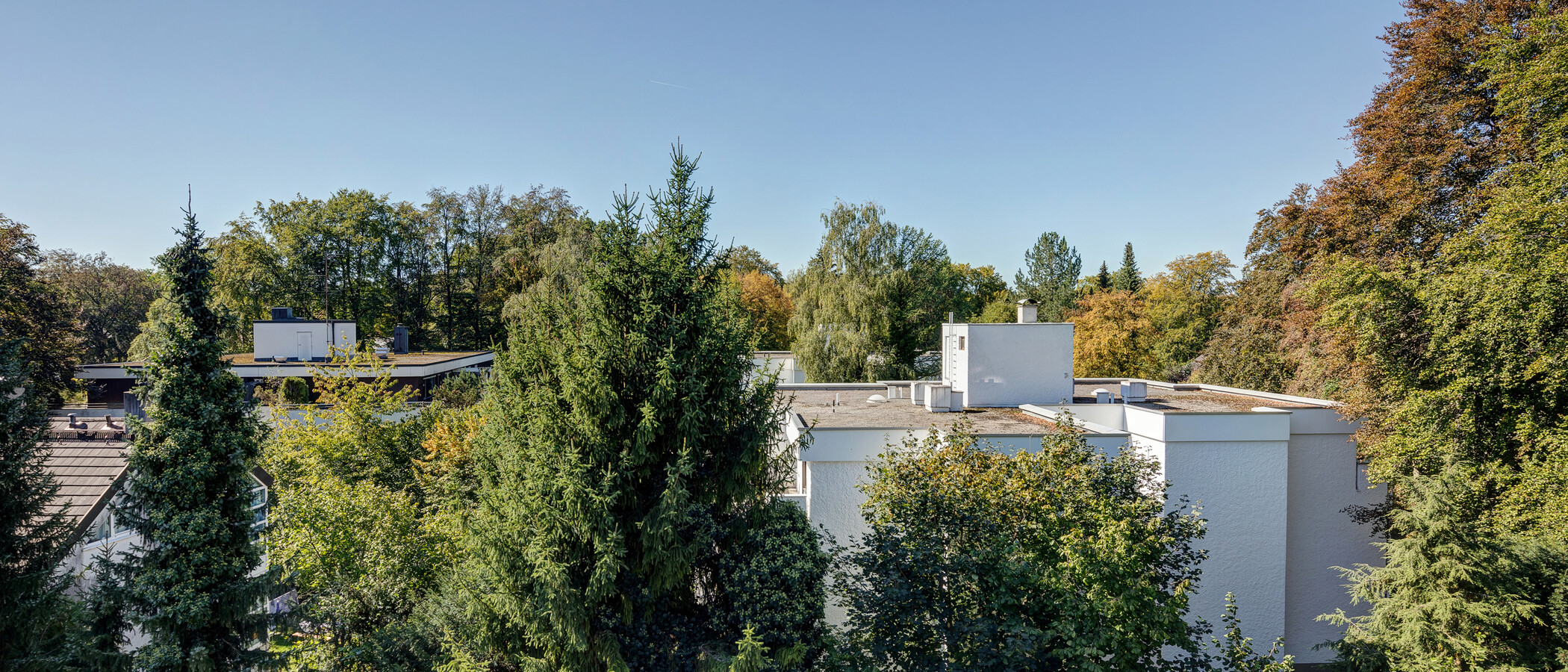 appartement avec terrasse sur le toit München Menterschwaige 02 vue 11267