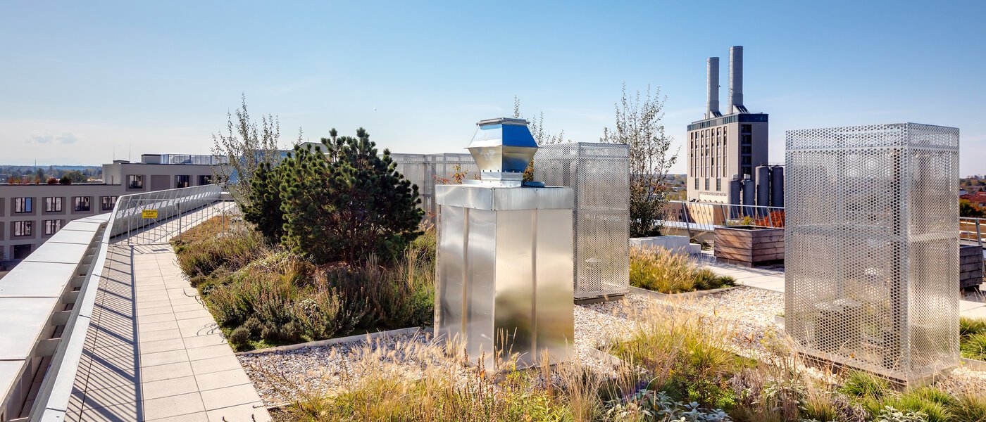 appartement München Obersendling 03 terrasse commune  11291