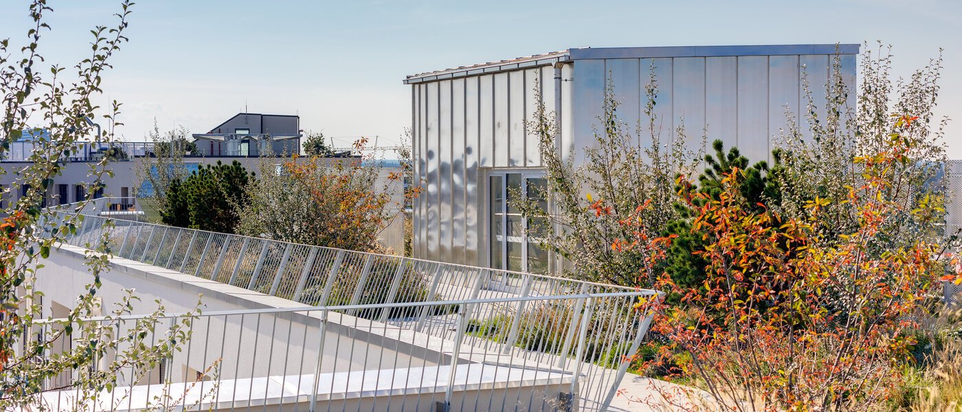 appartement München Obersendling 04 terrasse commune  11291