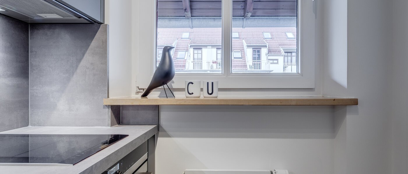 appartement style maisonnette avec mezzanine München Maxvorstadt 04 cuisine 11294