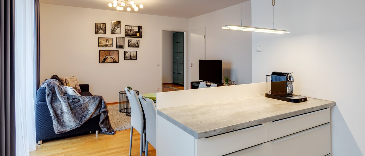 appartement München Ludwigsvorstadt 03 cuisine 11329