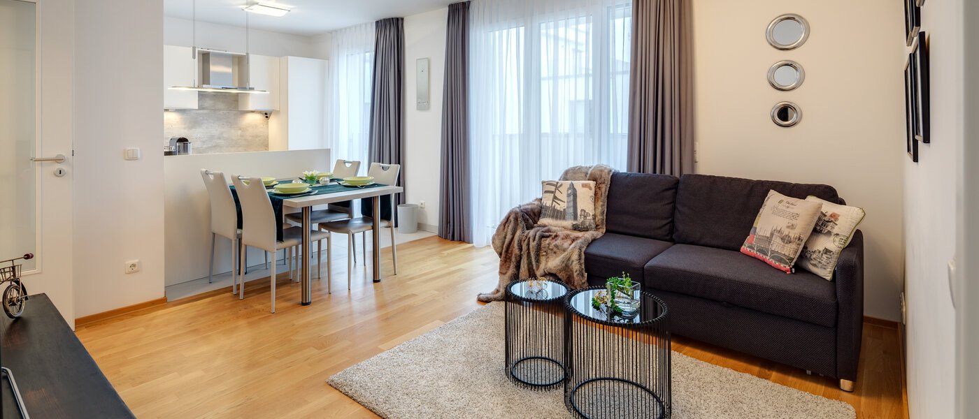 appartement München Ludwigsvorstadt 01 pièce à vivre 11329