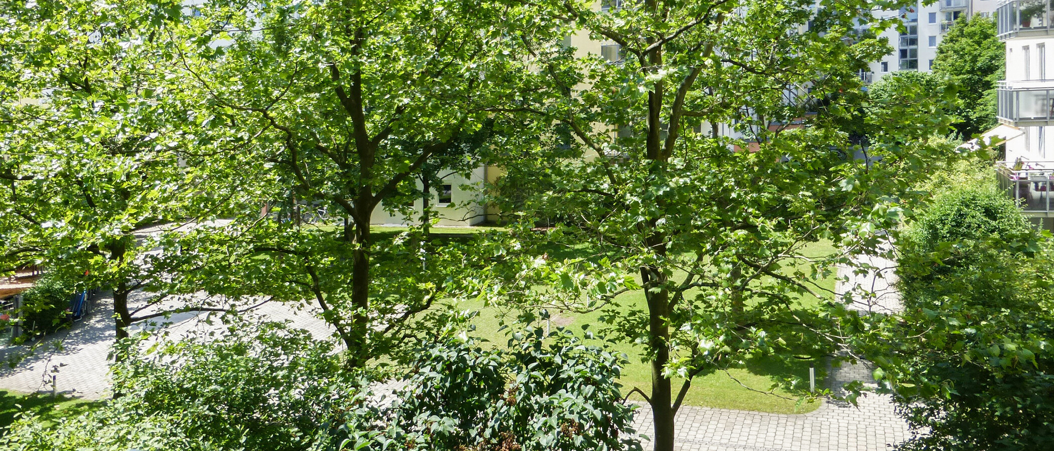 appartement München Maxvorstadt 01 vue 11428