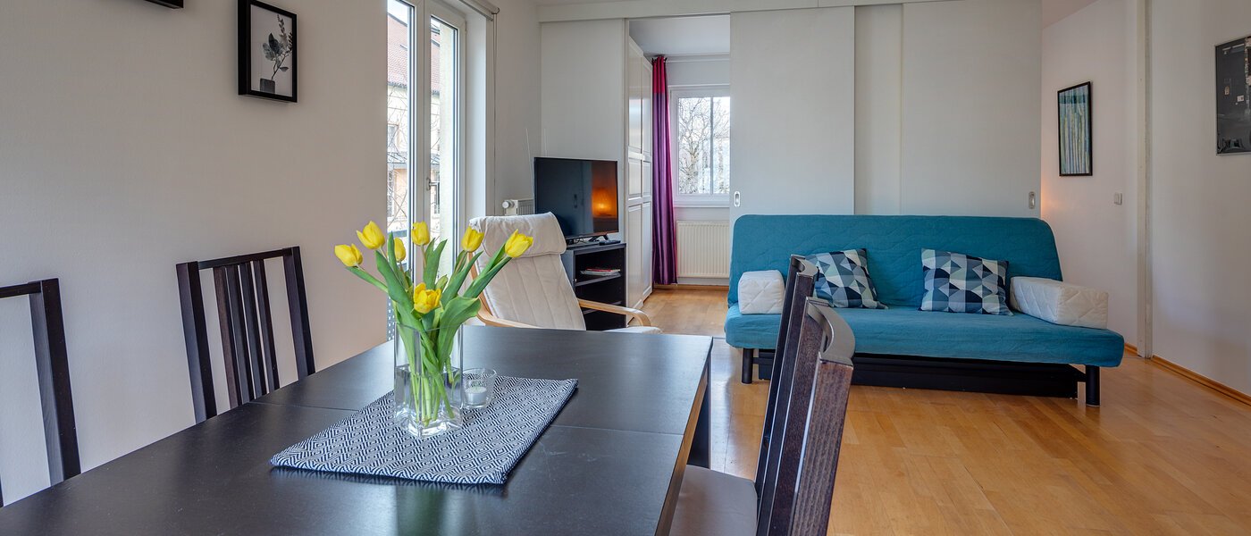 appartement München Ludwigsvorstadt 01 pièce à vivre 11492