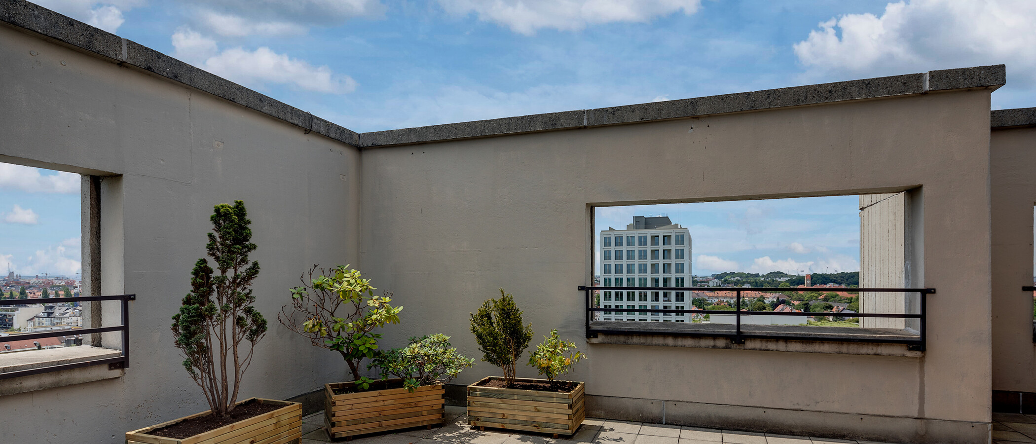 appartement München Schwabing (rechts der Leopoldstraße) 03 terrasse commune  11509