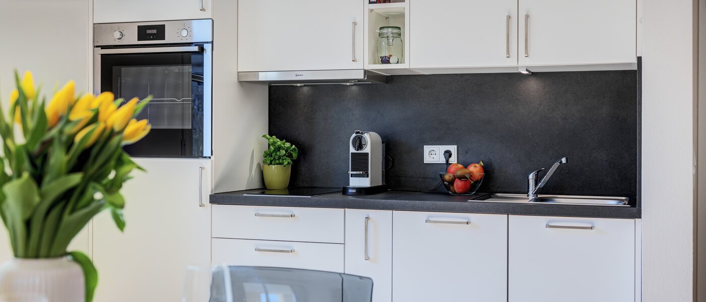 appartement München Schwabing-Nord (zw. Leopoldstraße & Englischen Garten) 01 cuisine 11551