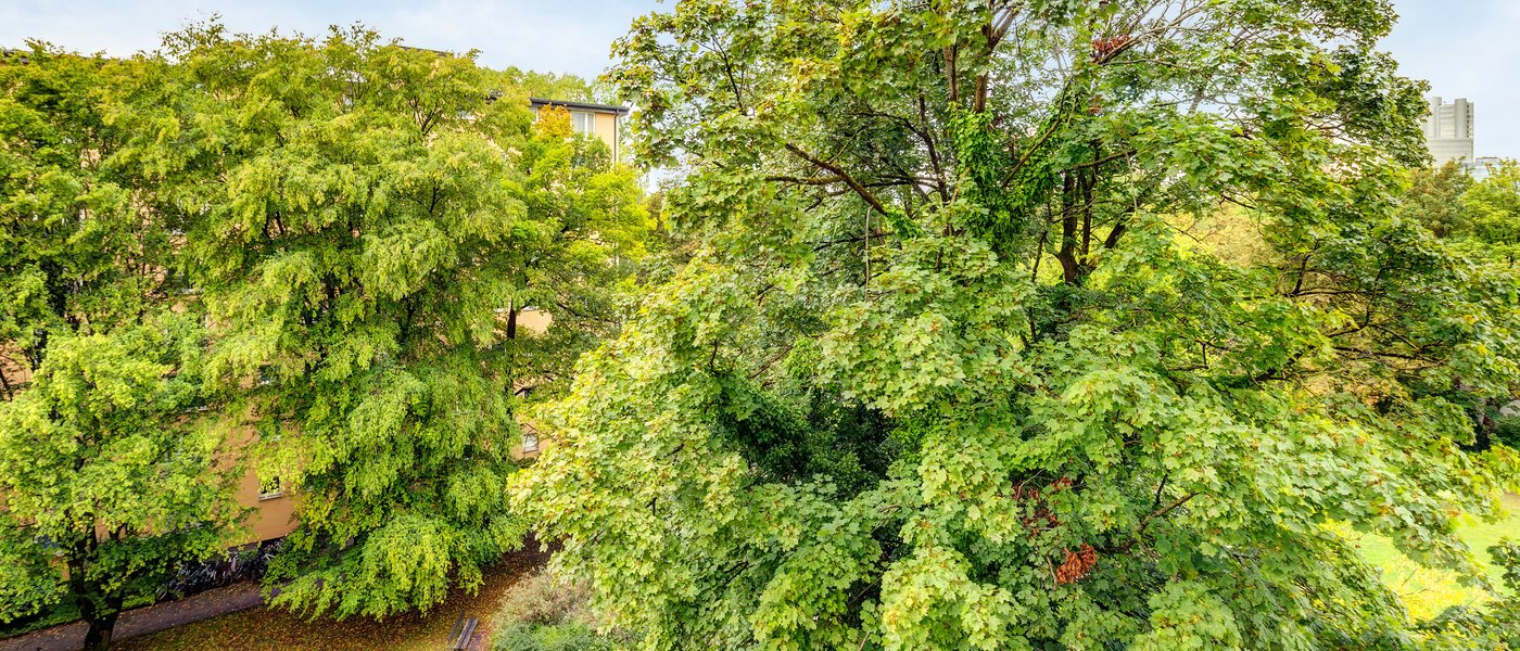 appartement München Parkstadt Bogenhausen 02 vue 1160