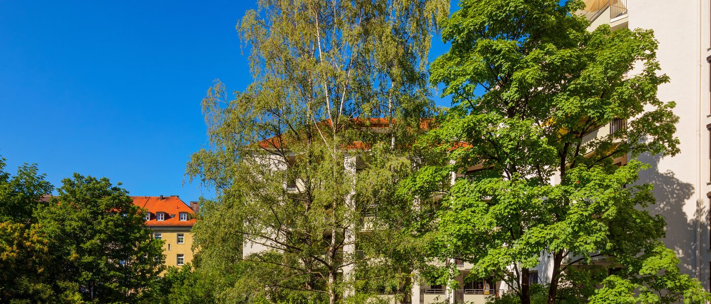 appartement München Maxvorstadt 01 vue 11609